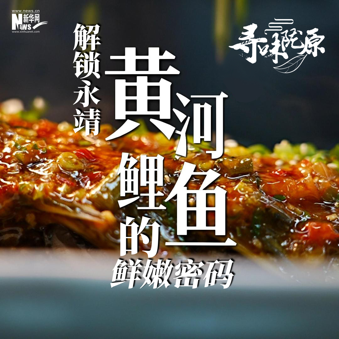 寻味陇原|解锁永靖黄河鲤鱼的鲜嫩密码