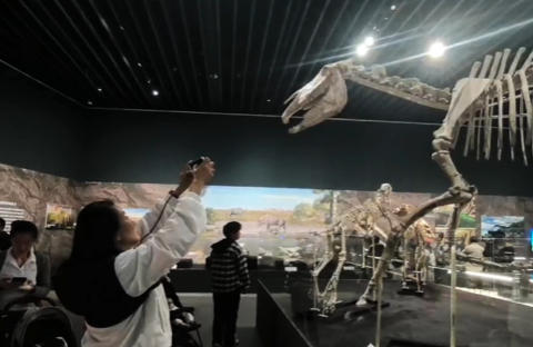 行走vlog｜共赴3000万年前“生命史诗”的深圳之约 