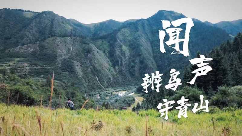 闻声辨鸟守青山